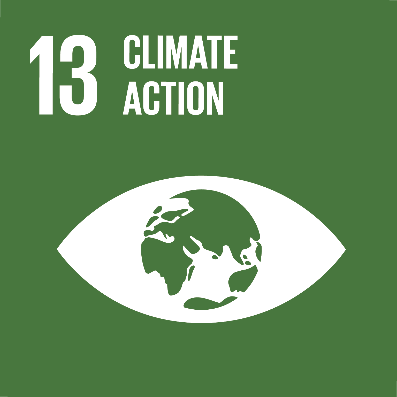 UN Sustainable Development Goals - 13 - Climate Action